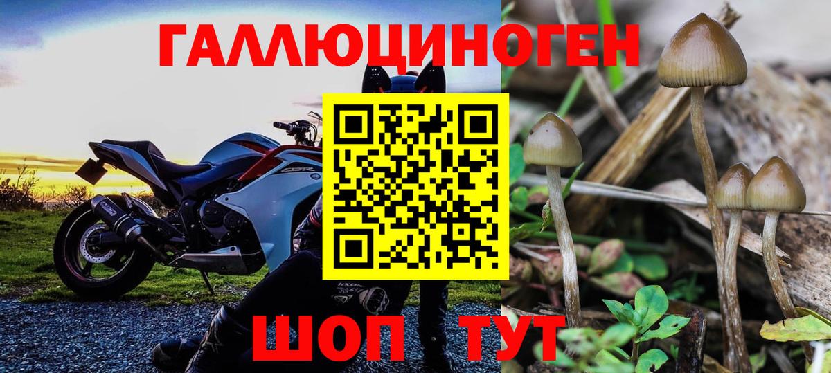 Галлюциногенные грибы мухоморы Петропавловск-Камчатский