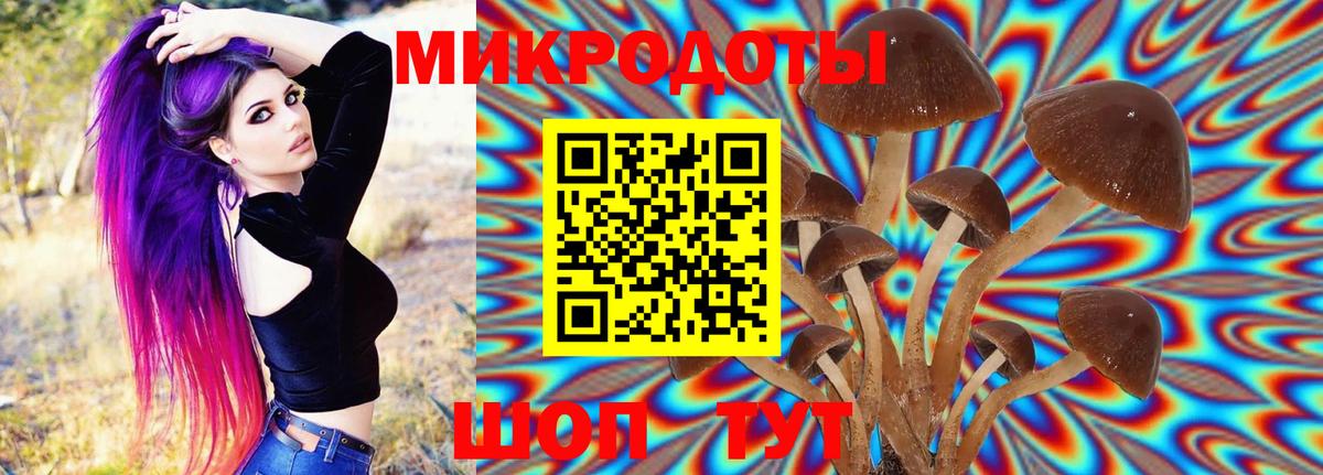 Псилоцибиновые грибы Magic Shrooms  Вход с VPN  Петропавловск-Камчатский  Галлюциногенные грибы Psilocybe 